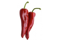 ramiro zoete puntpaprika s