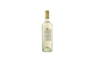 bodegas el esteco