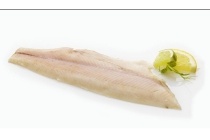 aro forelfilet