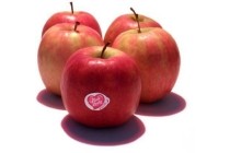 pink lady handappelen