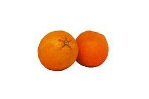 sanguinello sinaasappels