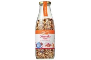 gijs granola