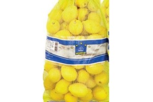 horeca select citroenen