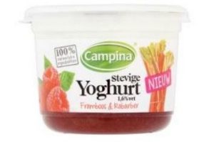 campina stevige yoghurt framboos en amp rabarber 450 g