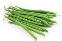 haricots verts