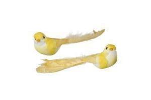 vogel