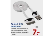 apple 30p datakabel