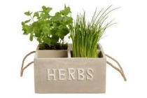 plantenbak herbs grijs