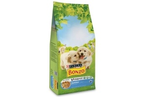 bonzo puppy en junior