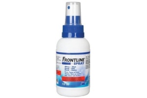 frontline spray hond kat