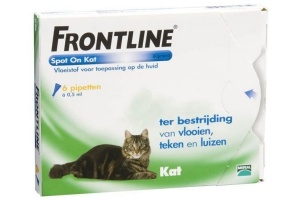 frontline spot on kat