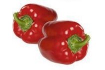 duo paprika rood
