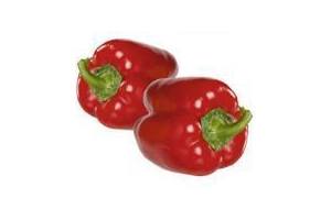 duo paprika rood