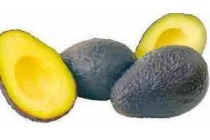 advocado