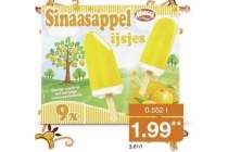 sinaasappelijsjes