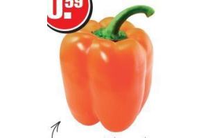 hollandse oranje paprika