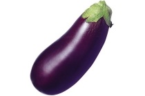 hollandse aubergine