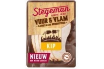 stegeman vuur en vlam