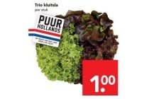 trio kluitsla