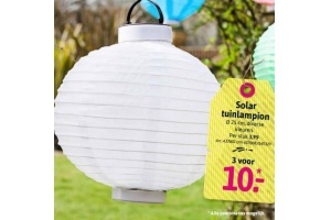 solar tuinlampion