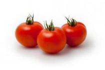 hollandse ronde tomaten