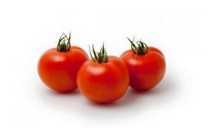 hollandse ronde tomaten