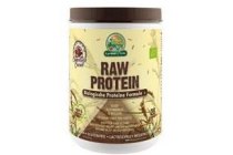 garden of life raw protein