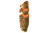 gesneden zalm