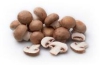 biologische kastanje champignons
