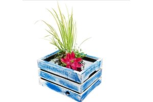 terrasvijver houten kist met waterplanten