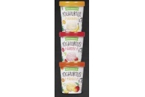 biologisch yoghurtijs