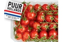 mini pomodori tomaten