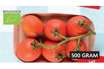 biologische pomedori tomaten