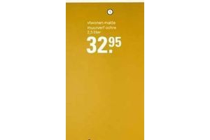 vtwonen matte muurverf ochre 2 5 liter