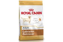 royal canin labrador retriever adult