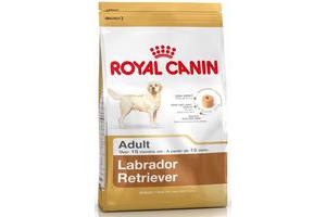 royal canin labrador retriever adult