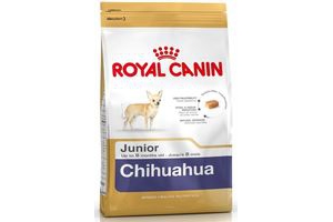 royal canin chihuahua junior