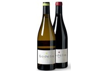 godelia bierzo