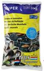 prins en dingemanse msc supermosselen