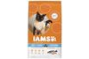 iams kattenvoer kip en vis