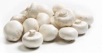 plus witte champignons