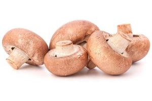 plus kastanjechampignons