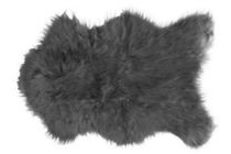 vloerkleed polar