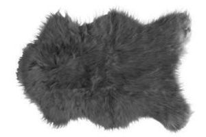 vloerkleed polar