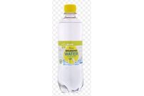 plus bruisend water met smaakje