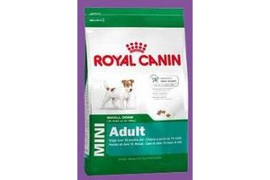 royal canin shn mini adult