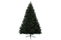 kerstboom canada spruce