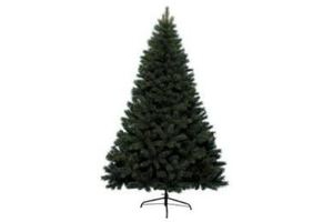 kerstboom canada spruce