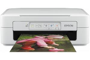 epson printer xp 247