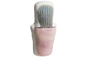 deurstopper cactus